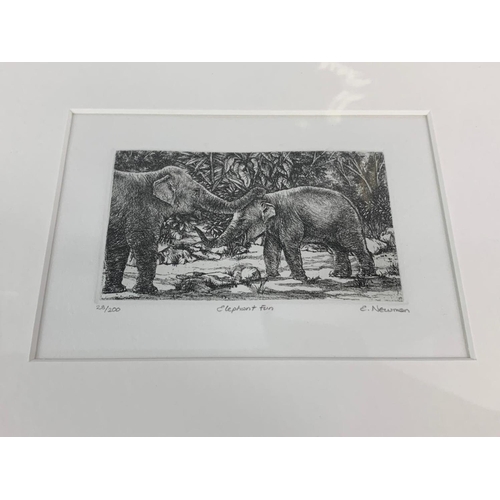 204 - Etching by E. Newman 40.5x37cm