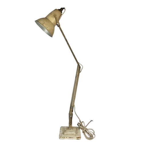 51 - Vintage Herbert Terry anglepoise lamp