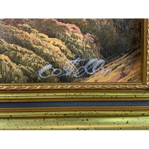 259 - 2 oil paintings in gilt frames, 50cm x 40cm