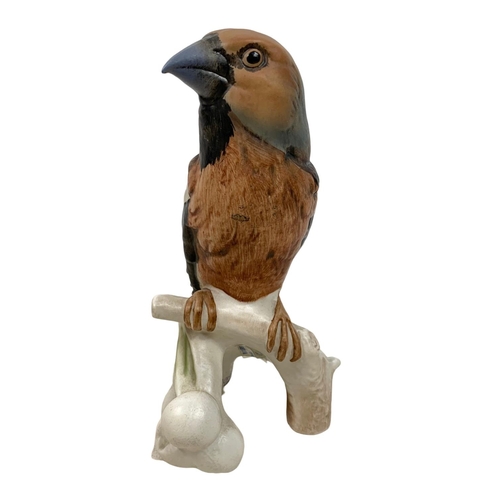 520 - Large Goebel pottery bird, 16cm