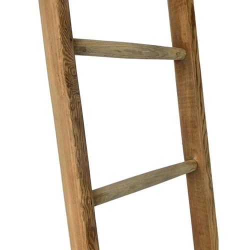 23 - Early 20th century Riddell Harvey & Co pine ladder. 198.5cm.