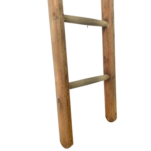 23 - Early 20th century Riddell Harvey & Co pine ladder. 198.5cm.