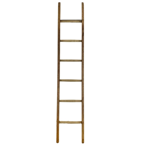 23 - Early 20th century Riddell Harvey & Co pine ladder. 198.5cm.