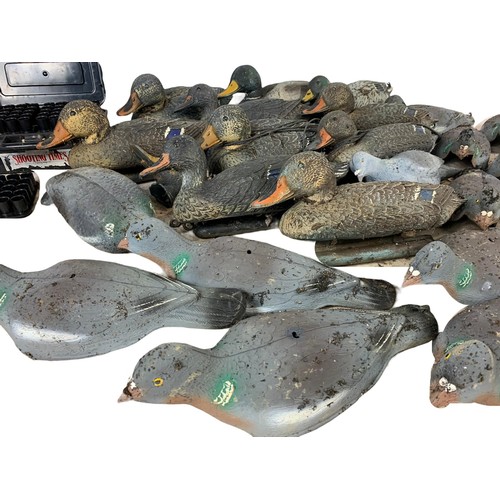 382a - Quantity of decoys