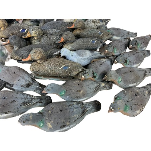 382a - Quantity of decoys