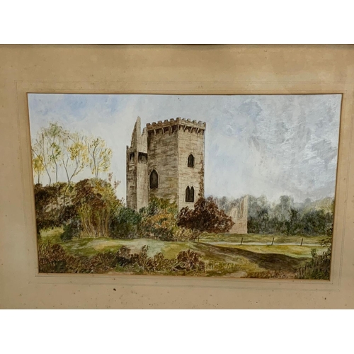 126 - 2 vintage watercolour paintings. 61 x 45cm including frame.