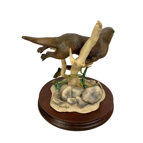 533 - A large Border Fine Arts “Otter and Trout” figure on base in box. Figure measures 17.5 x 19.5cm. Box... 