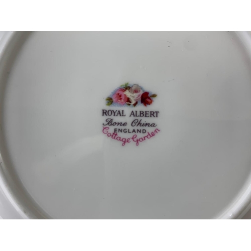 602 - A 23 piece Royal Albert Cottage Garden tea set.