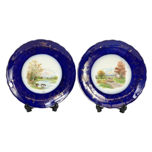 606 - A pair of Victorian colt blue hand painted plates with gilt decoration. By Woods & Son. 22cm