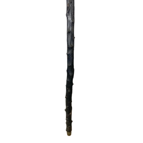 322 - A large Black Thorn thumb stick. 130cm