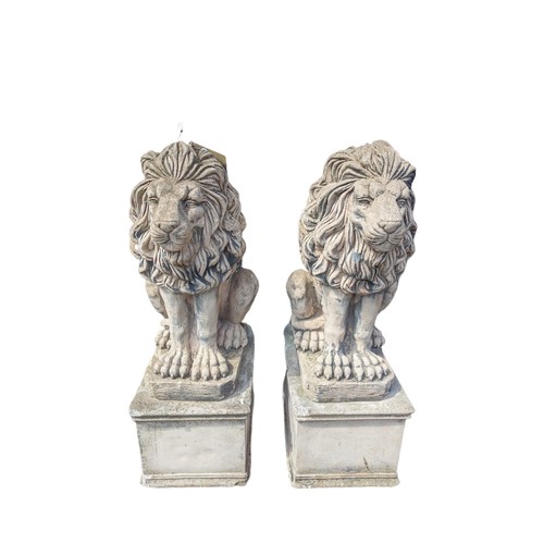 50e - Pair of large concrete lions. 38x41x84cm