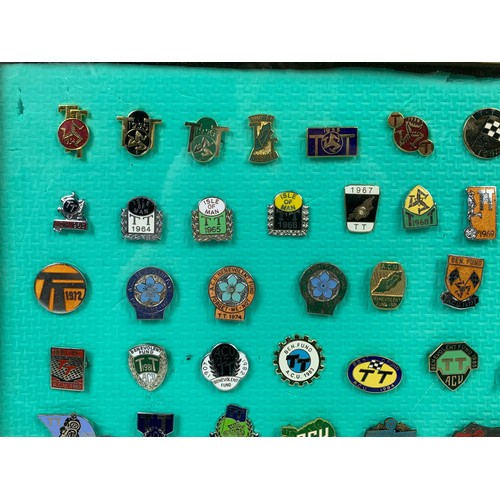 268c - A collection of framed TT racing badges. Frame measures 36 x 36cm