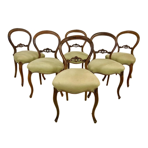 1001 - A set of 6 Victorian rosewood balloon back chairs. Circa 1870.