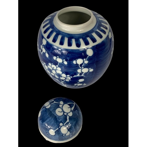 394 - A late 19th century Chinese blue and white Prunus ginger jar with lid. Circa 1900. 17cm