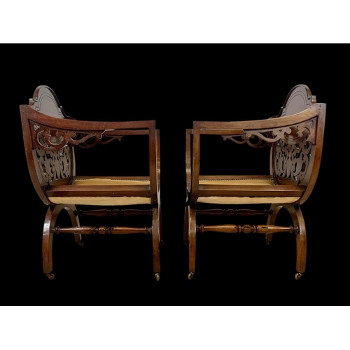 847 - A pair of Edwardian X-Framed mahogany armchairs. 59 x 54 x 85.5cm.