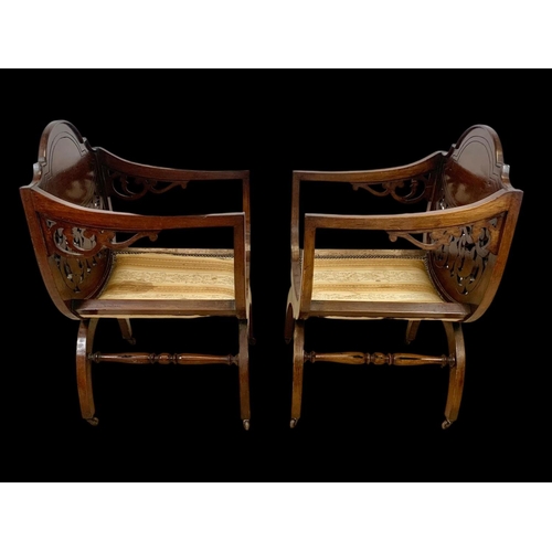 847 - A pair of Edwardian X-Framed mahogany armchairs. 59 x 54 x 85.5cm.