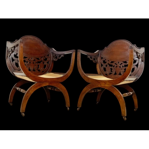 847 - A pair of Edwardian X-Framed mahogany armchairs. 59 x 54 x 85.5cm.