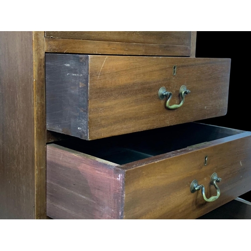 865 - A tall Edwardian mahogany office chest of drawers with brass drop handles. Stamped O’Connell Cork. 5... 