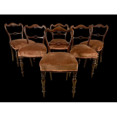 889 - A set of 6 Victorian mahogany chairs. Circa 1860.