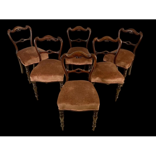 889 - A set of 6 Victorian mahogany chairs. Circa 1860.