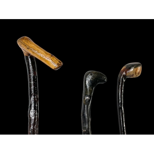 248 - 3 Black Thorn walking sticks. 90cm