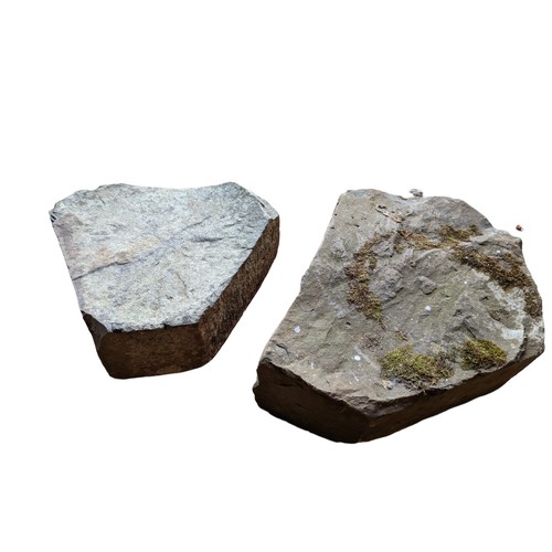 389c - 2 Causeway stones