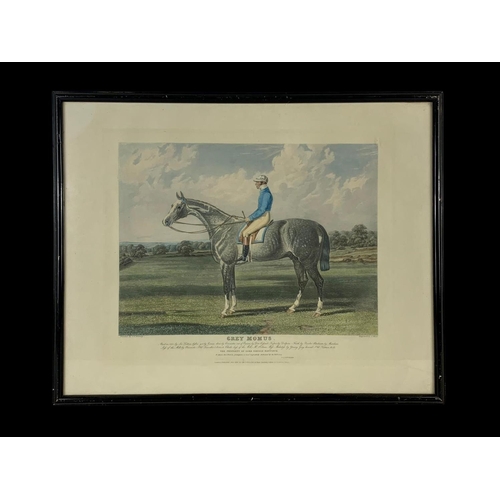 208a - A large early 20th century Horse Racing print. Grey Momus. 63.5 x 50.5cm.