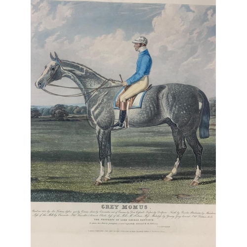 208a - A large early 20th century Horse Racing print. Grey Momus. 63.5 x 50.5cm.