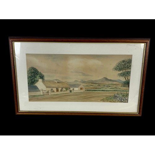 208s - 2 watercolour paintings by R. Munn.  Paintings measure 54x26.5.  Frame measures 70x42cm