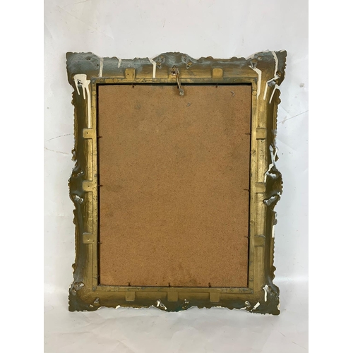 230 - Ornate framed mirror, 46cm x 56cm