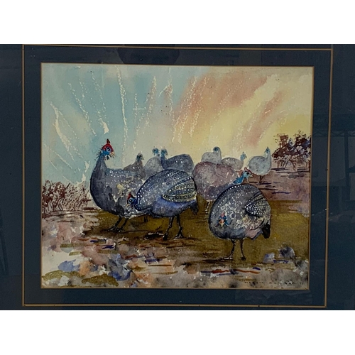 345 - A watercolour of guinea fowl.  South Africa.