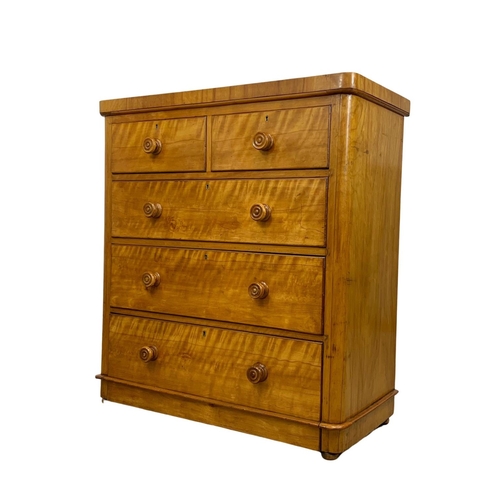 987 - A Victorian satin birch chest of drawers, 99cm x 48cm x 109.5cm