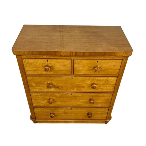 987 - A Victorian satin birch chest of drawers, 99cm x 48cm x 109.5cm