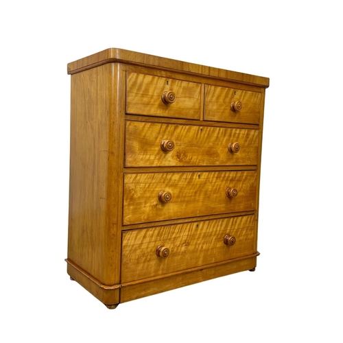 987 - A Victorian satin birch chest of drawers, 99cm x 48cm x 109.5cm