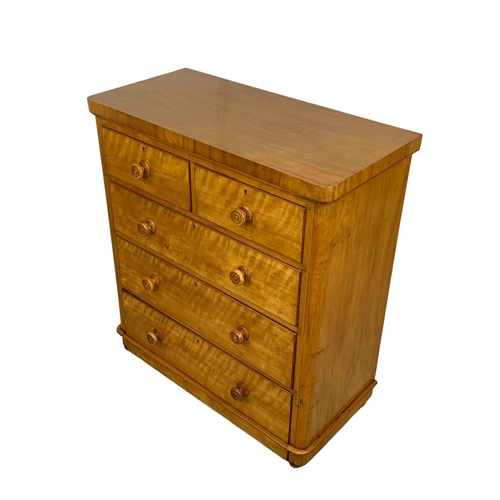 987 - A Victorian satin birch chest of drawers, 99cm x 48cm x 109.5cm