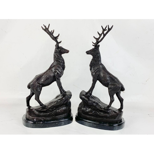 31 - A pair of large Bronze stags on marbles bases. 22 x 44cm