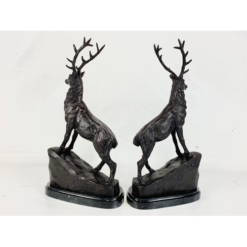 31 - A pair of large Bronze stags on marbles bases. 22 x 44cm