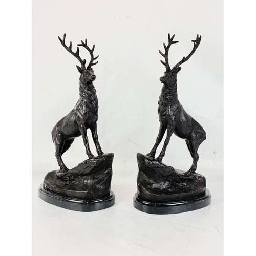 31 - A pair of large Bronze stags on marbles bases. 22 x 44cm