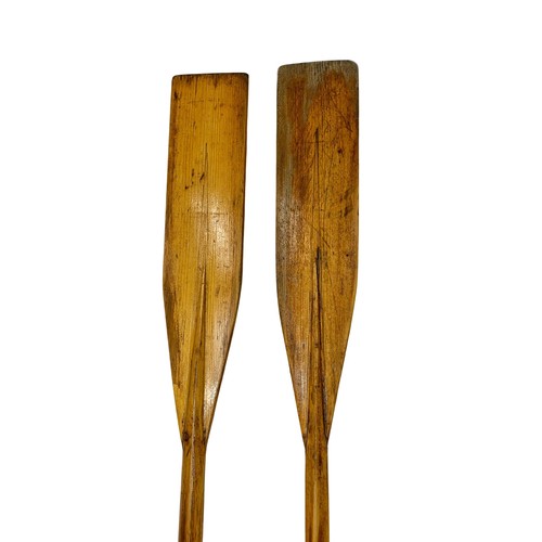 355c - A pair of vintage oars. 220.5cm