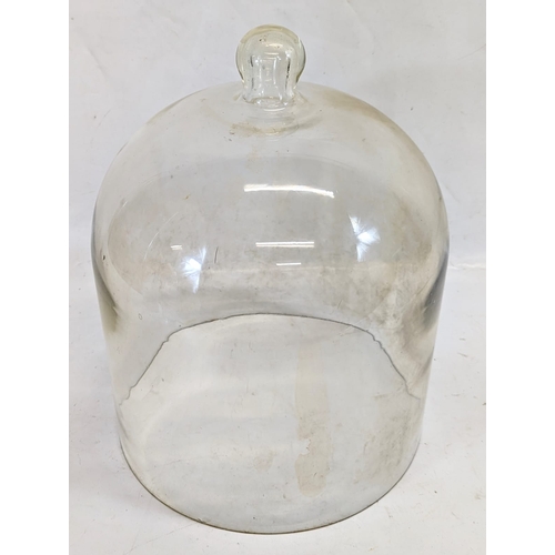 117 - A large early 20th century glass dome. 30x28.5