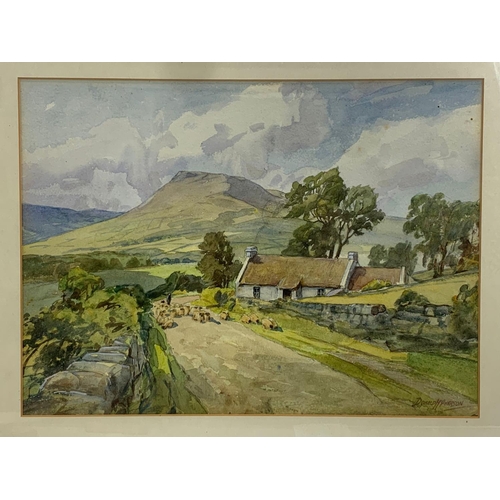 107 - A watercolour painting by Donald McPerson. Painting measures 36.5 x 27cm. Frame measures 55 x 46cm