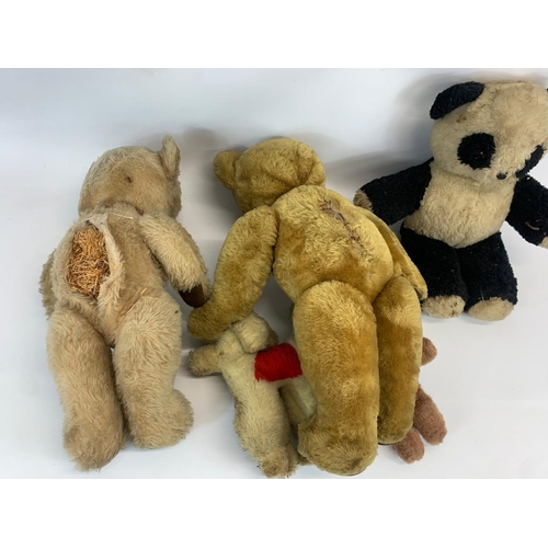 251D - 5 vintage teddy bears. Largest 60cm