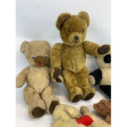 251D - 5 vintage teddy bears. Largest 60cm