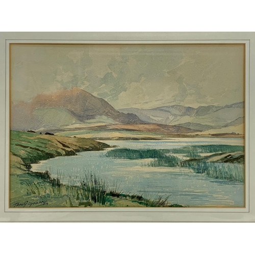 34 - A watercolour painting by Theo. J. Gracey. Dunlewy Donegal. Painting measures 36 x 25.5cm. Frame mea... 