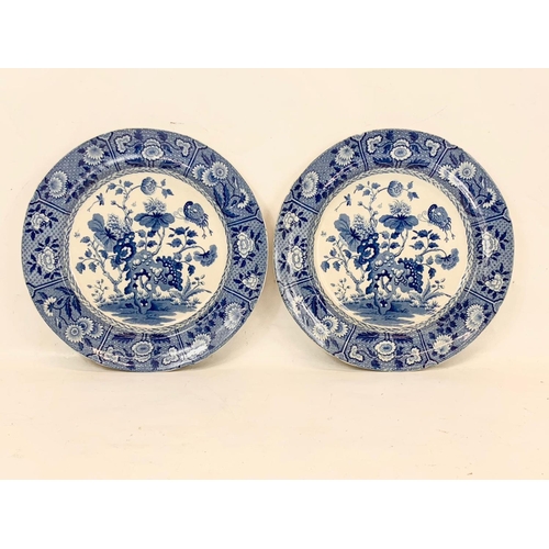 471 - A pair of early 19th century Spode “India” pattern plates. Circa 1810. 25cm