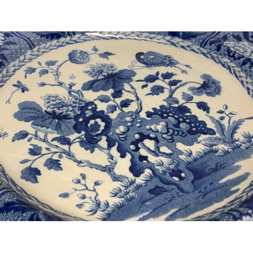 471 - A pair of early 19th century Spode “India” pattern plates. Circa 1810. 25cm