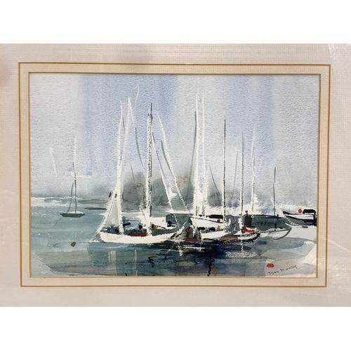 92 - A watercolour painting by Joan Murray. Painting measures 31 x 21.5cm. Frame measures 48 x 40cm.