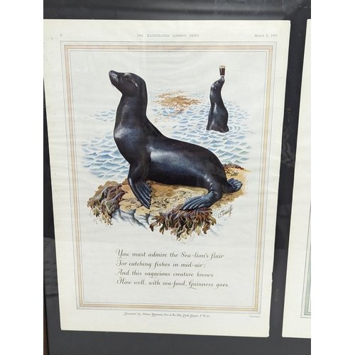 270 - 2 framed 1952 Guinness Advertising prints. March 8th and May 17th edition of The Illustrated London ... 