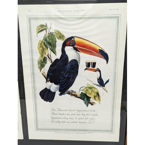 270 - 2 framed 1952 Guinness Advertising prints. March 8th and May 17th edition of The Illustrated London ... 