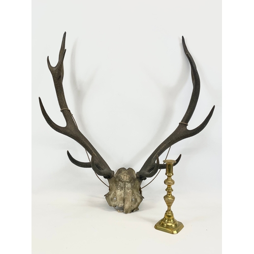 32 - Vintage deer antlers. 59 x 75cm